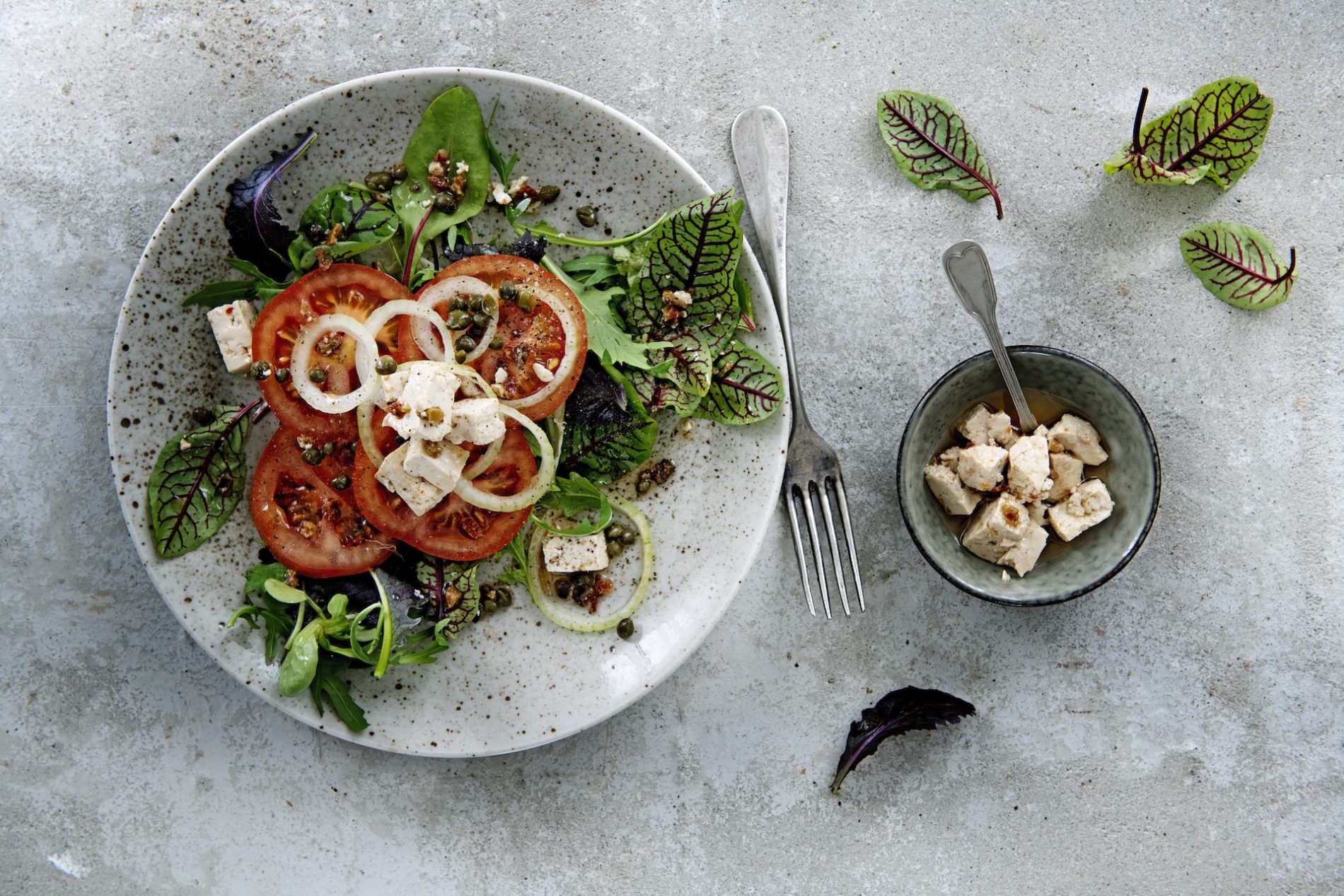 Salade tomaat en ui met SoCheeze blokjes