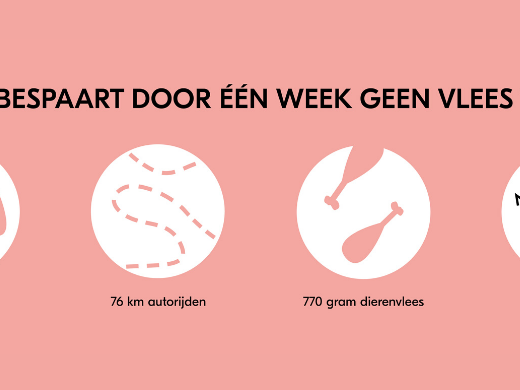 Week zonder vlees 2020: weet wat jij bespaart